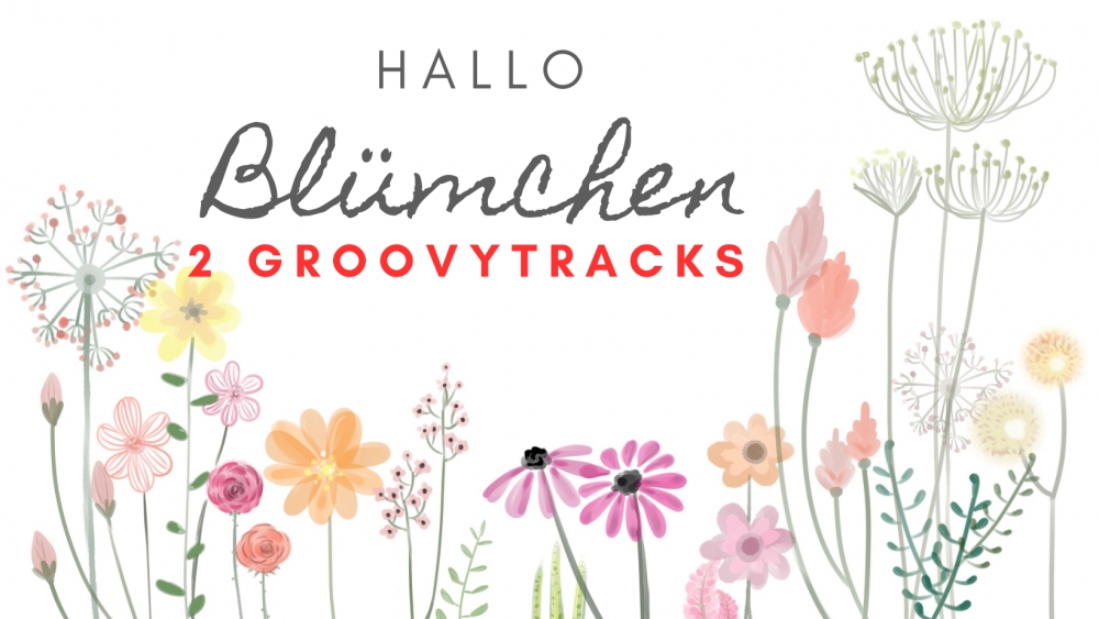 Bild 1 von Nicht das Blümchen - 2 Tracks  / (Bitte wählen) Bitte mit Wunschnamen