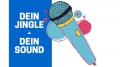 Individuelle Einzeljingles/Opener